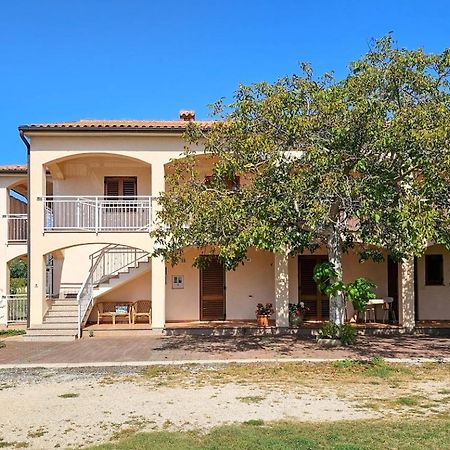 Ferienwohnung Viola Three Novigrad Istria Exterior foto